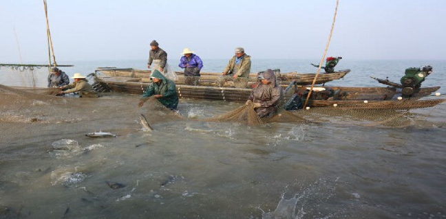 船用缆绳在渔业捕捞的用途